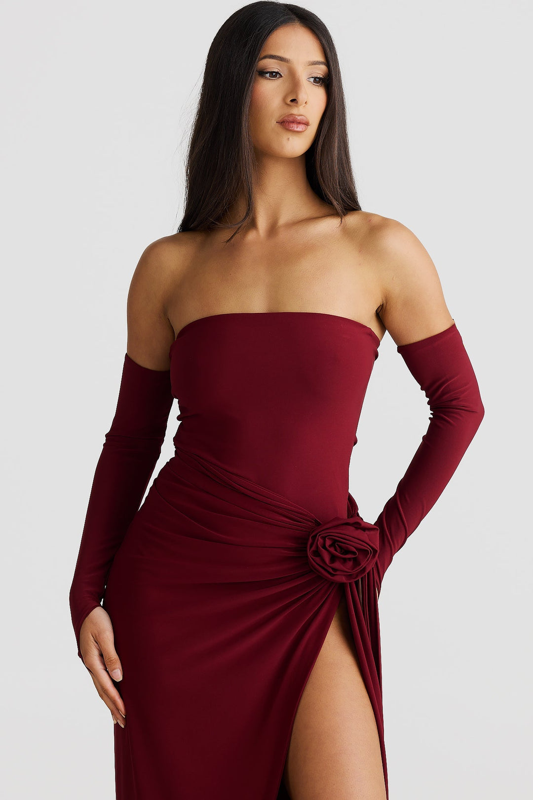 Giorgiana Elegant Sleeve Dress